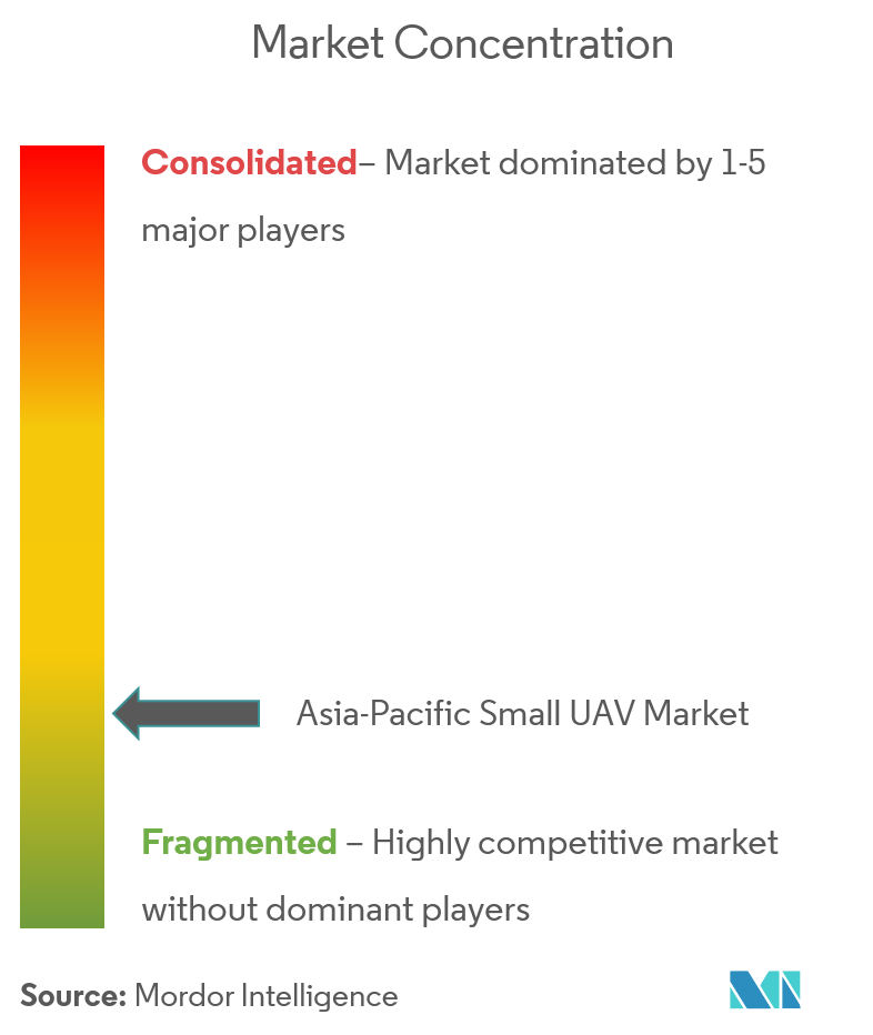 Asia-Pacific Small UAV Market Concentration